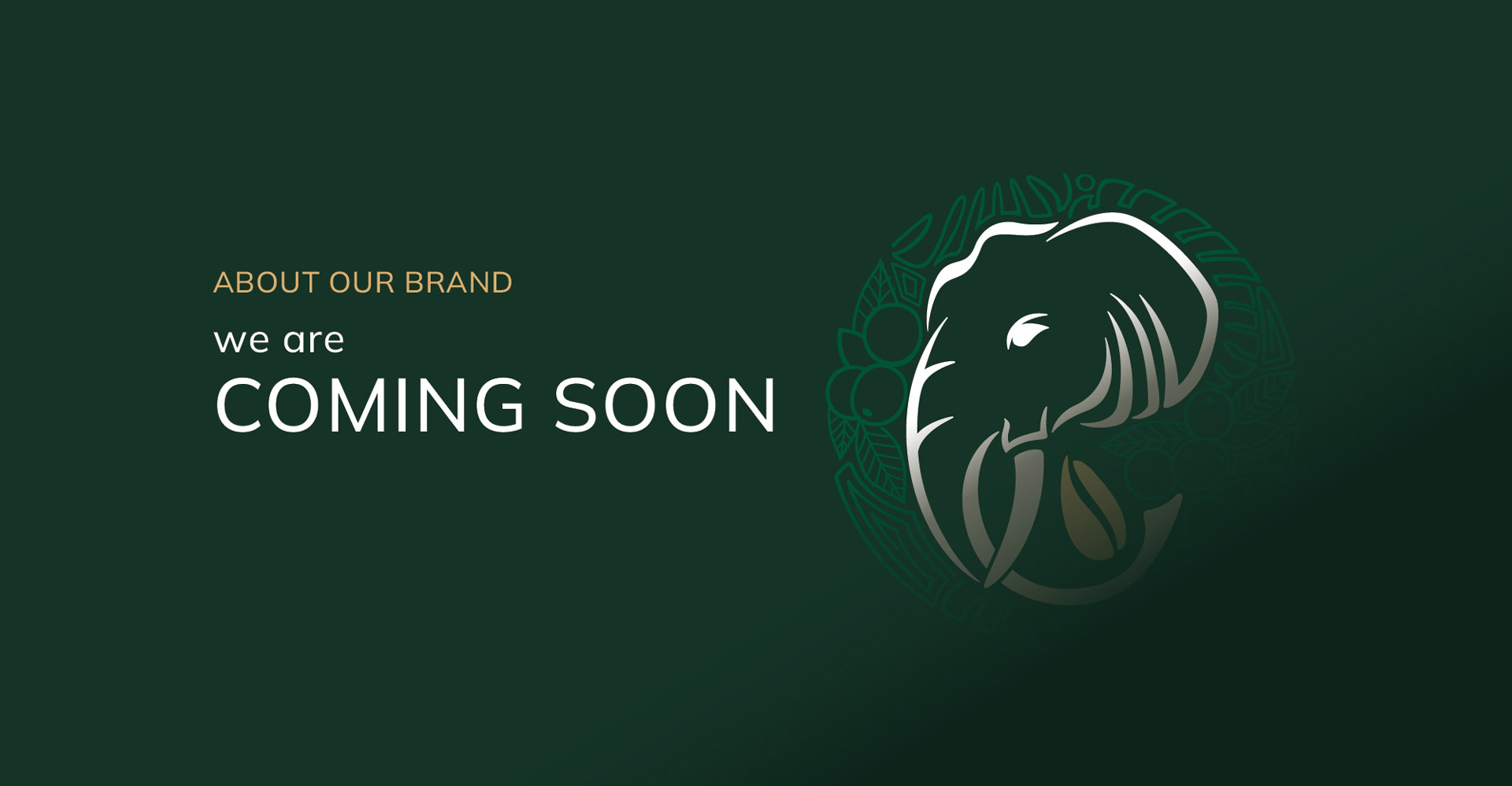 Coming Soon